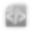 ScriptEditor Icon.png